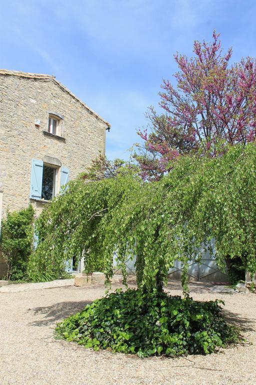 Bed and Breakfast La Rose Saint-Gervasy Exteriér fotografie