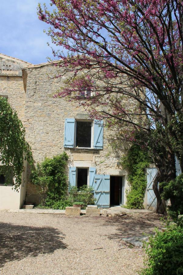 Bed and Breakfast La Rose Saint-Gervasy Exteriér fotografie