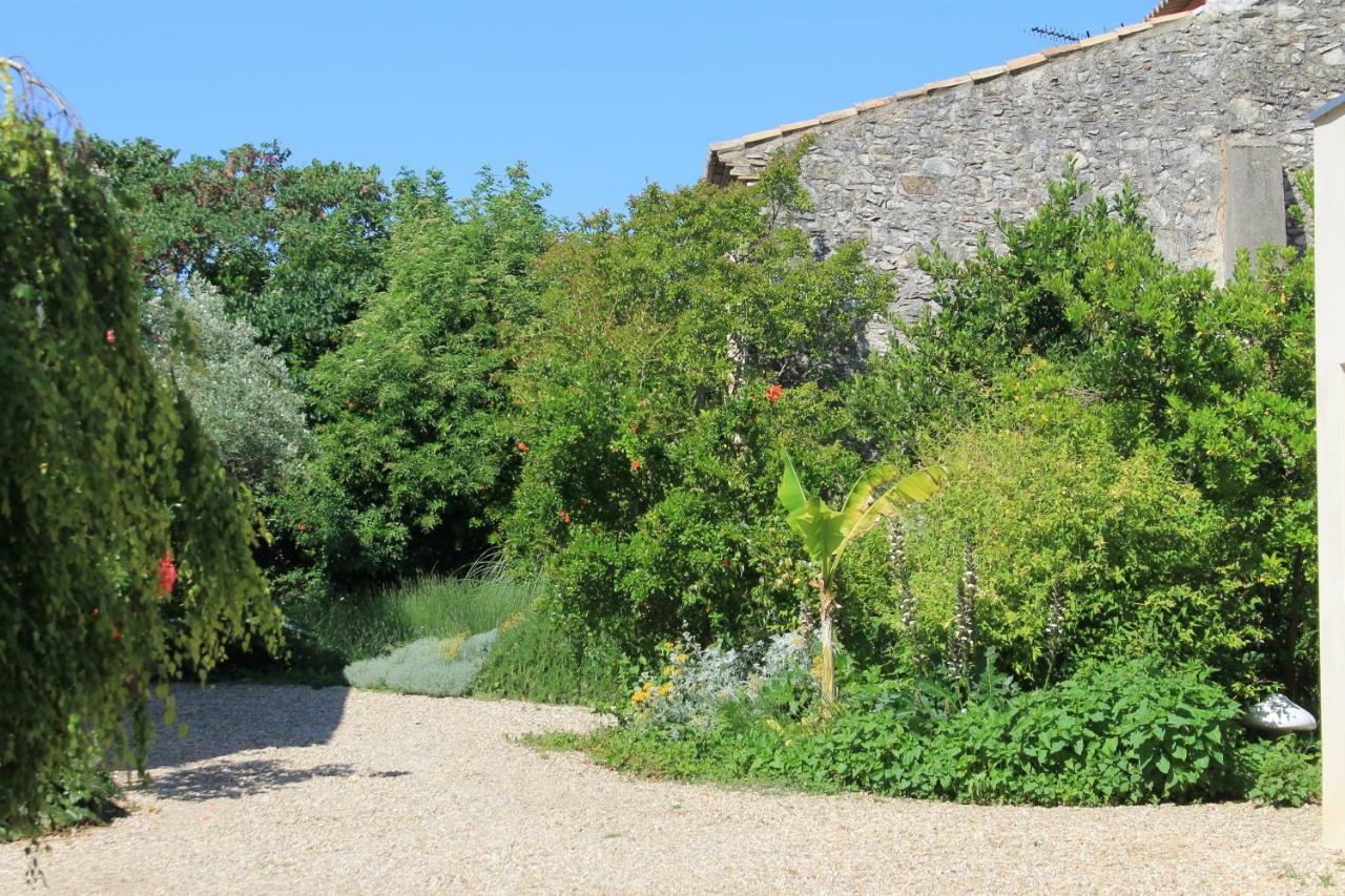 Bed and Breakfast La Rose Saint-Gervasy Exteriér fotografie
